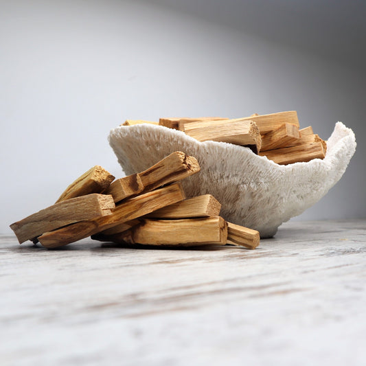 Palo Santo Twin Pack | Sacred Energy Clearing & Spiritual Upliftment