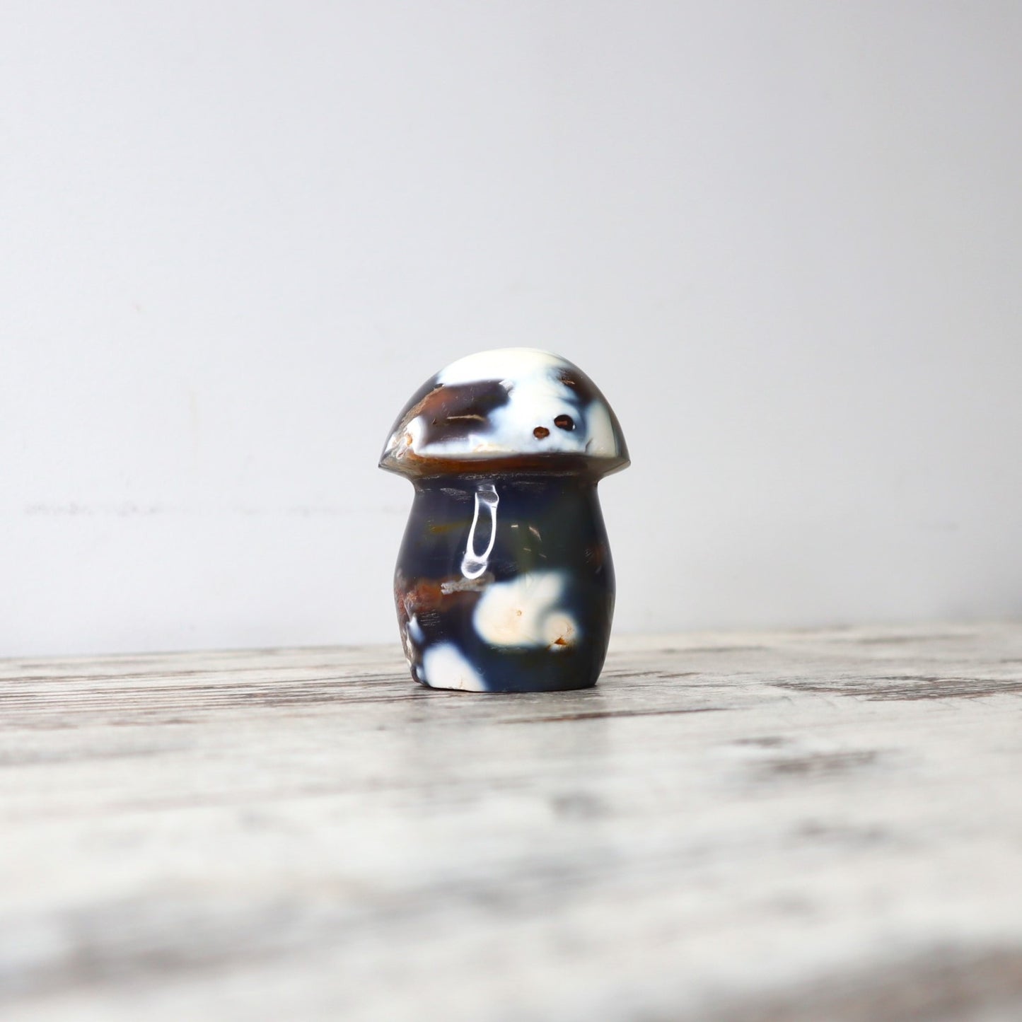 Orca Agate Mushrooms