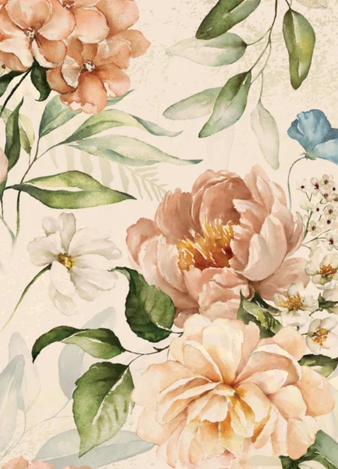 The Beauty Apothecary | Self-Love, Rituals & Holistic Beauty