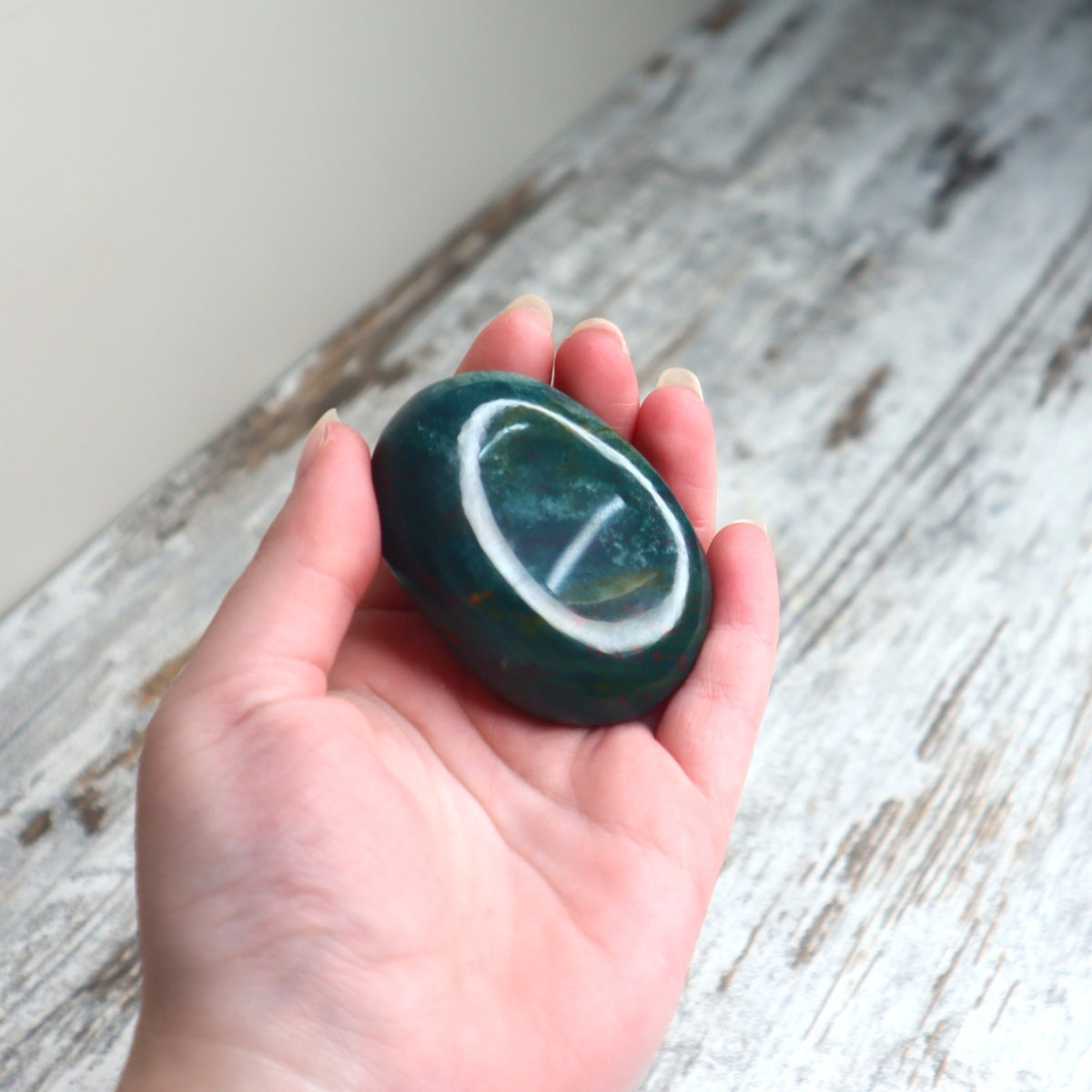 Bloodstone Palm Stone | Strength, Courage & Grounded Vitality