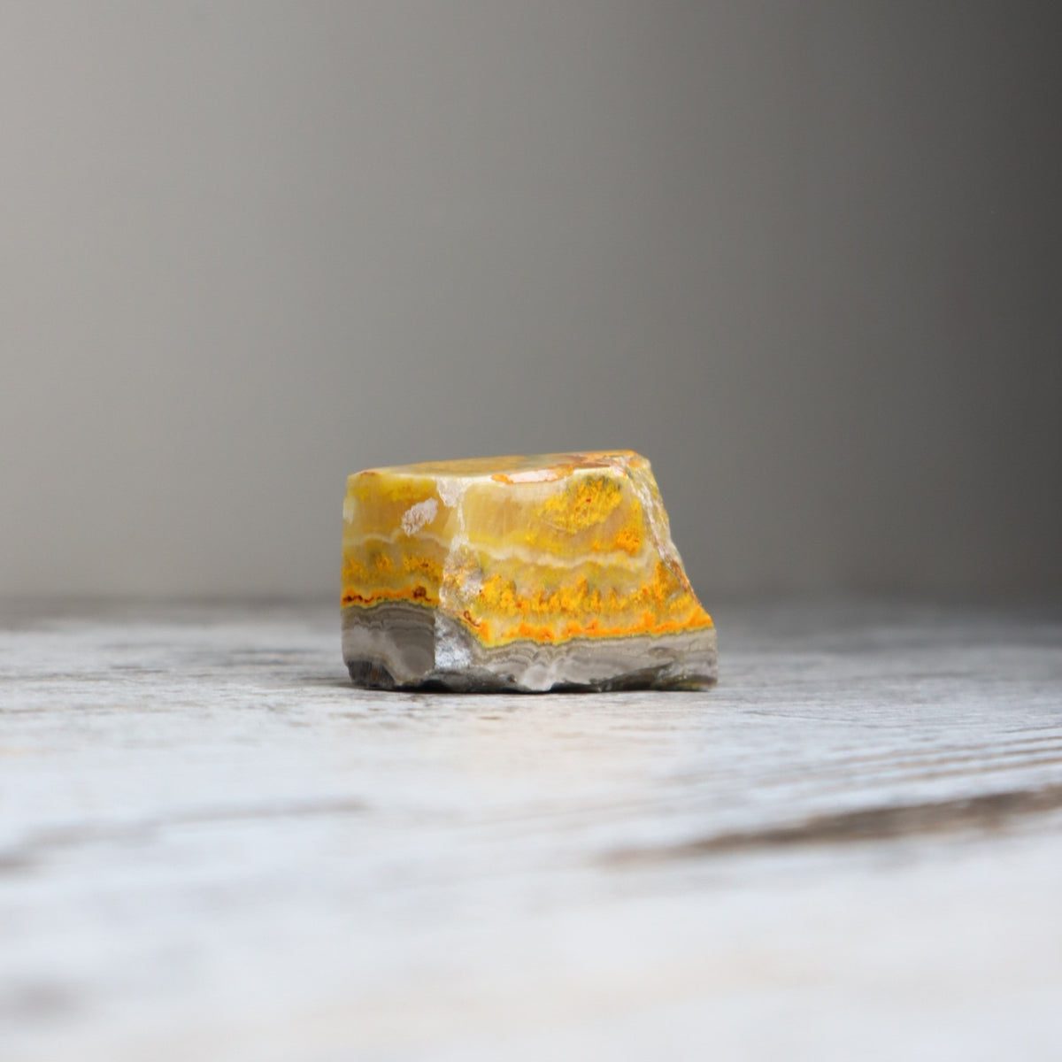 Bumble Bee Jasper Mini Freeform | Confidence, Creativity & New Beginnings