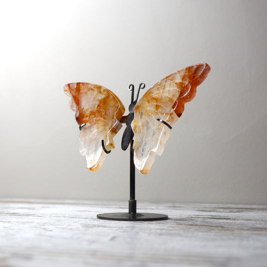 Golden Healer Butterfly on Stand | Healing, Vitality & Divine Light