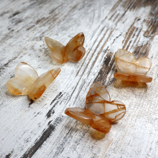 Golden Healer 3D Butterfly | Intuitively Chosen | Joy, Renewal & Inner Light