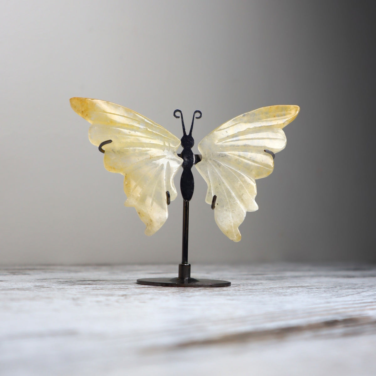 Golden Healer Butterfly on Stand | Transformation, Joy & Inner Light