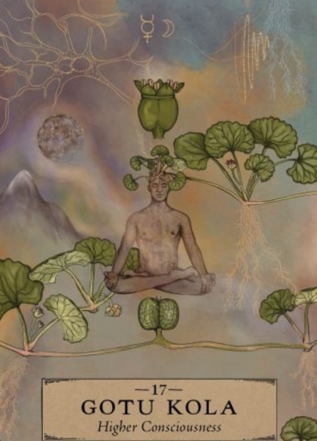 The Herbal Astrology Oracle