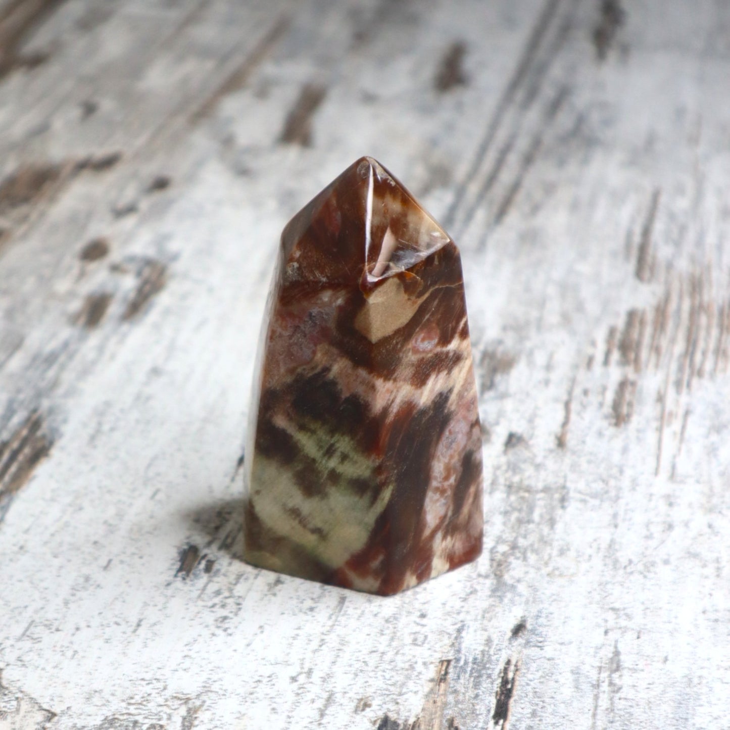 Petrified Wood Freeform Tower | Ancient Grounding, Stability & Quiet Strength