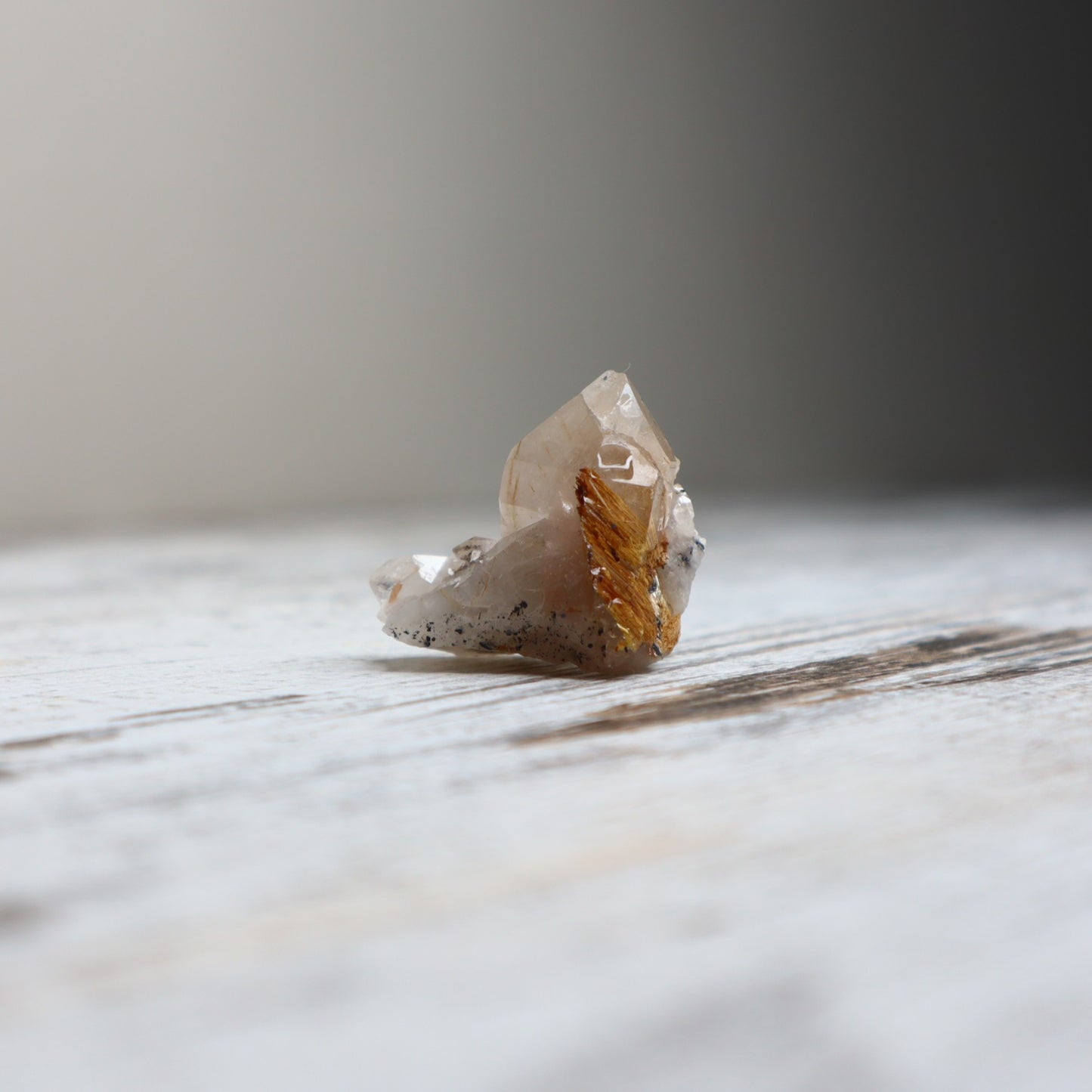 Golden Rutilated Quartz Raw | Abundance, Illumination & Empowerment