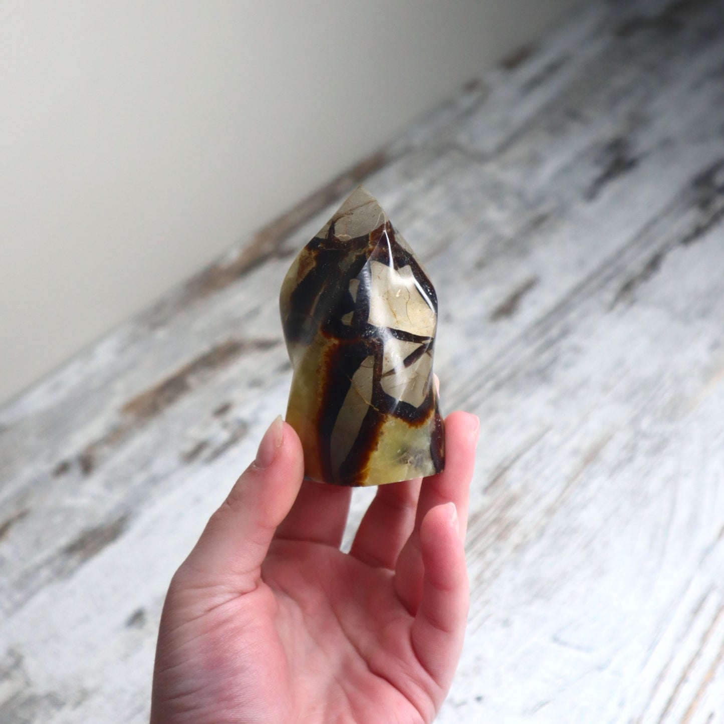 Septarian Flame | Confidence, Grounding & Ancient Wisdom