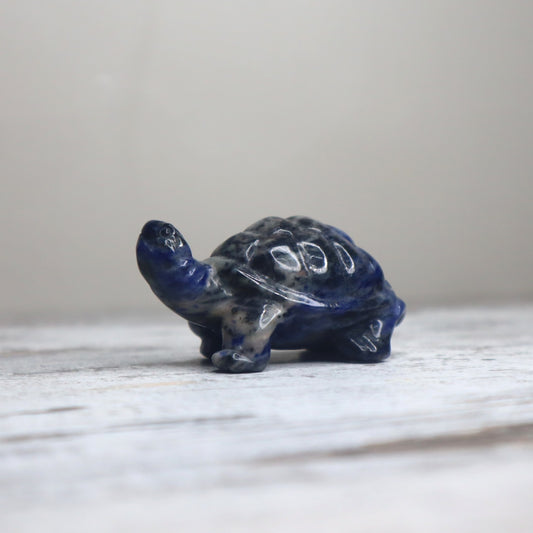 Sodalite Turtle | Wisdom, Stability & Clear Communication