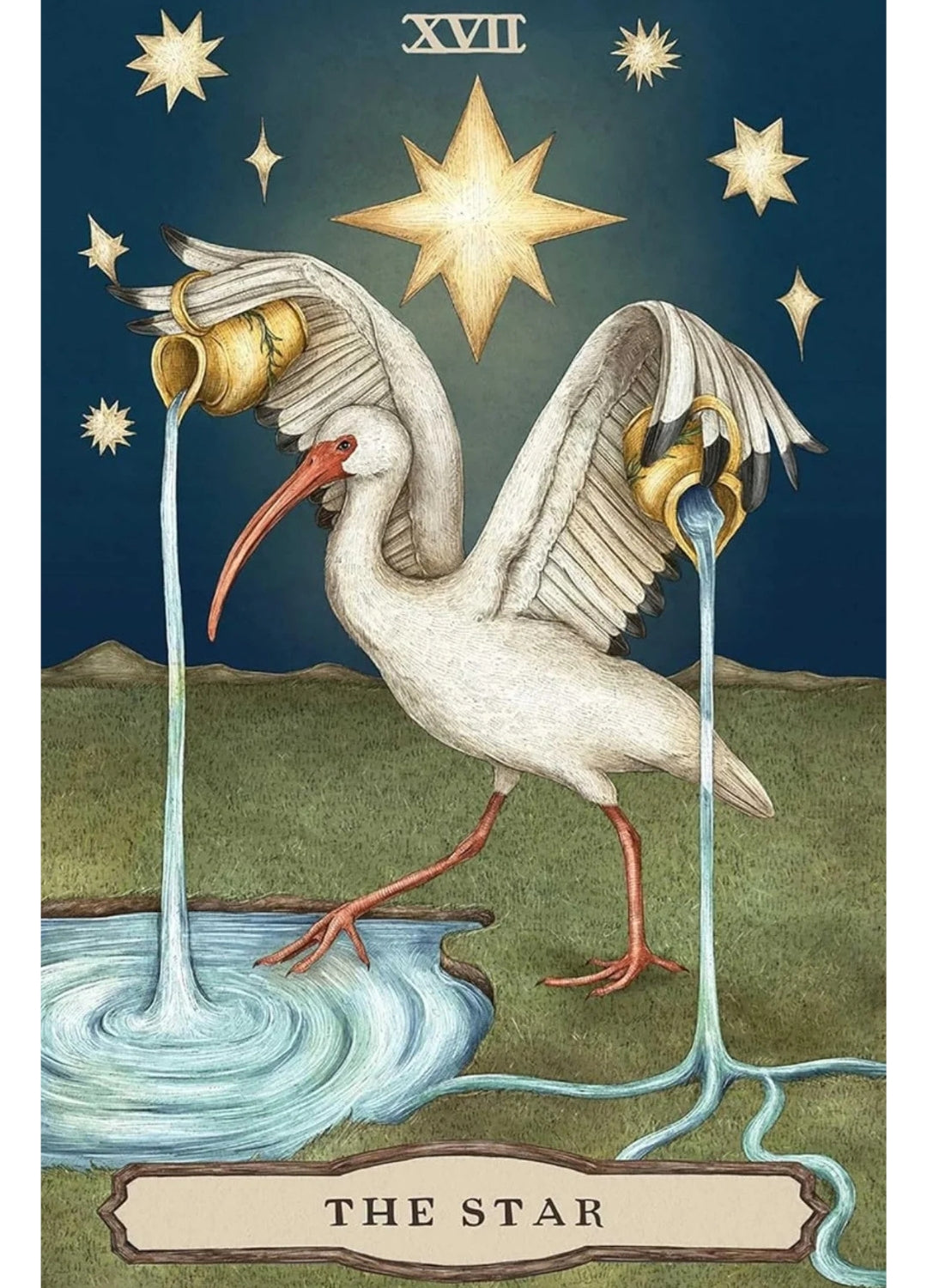 Tarot of the Woodland Wardens | Animal & Botanical Tarot