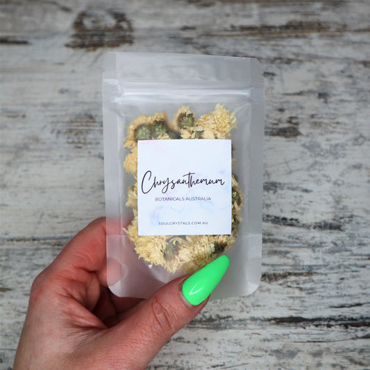 Chrysanthemum Flowers