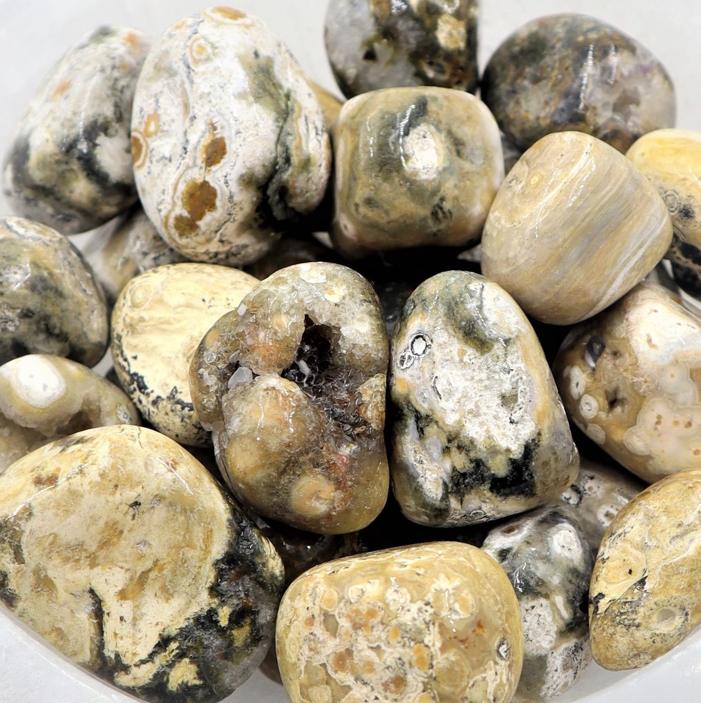 Ocean Jasper Tumble | Renewal, Joy & Emotional Flow