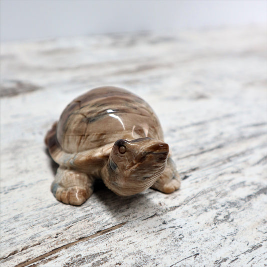 Petrified Wood Turtle (529g)
