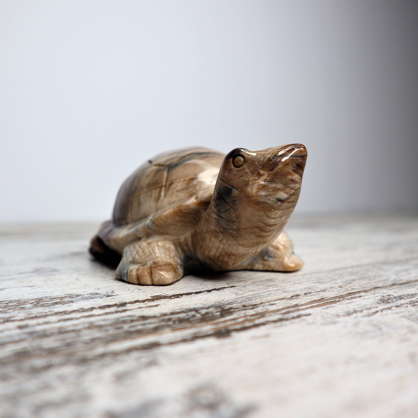 Petrified Wood Turtle (529g)