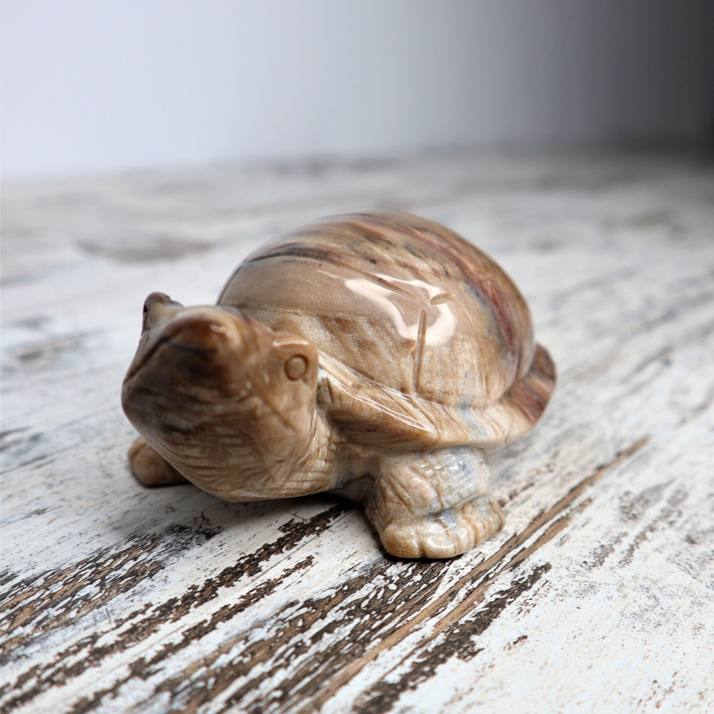 Petrified Wood Turtle (529g)