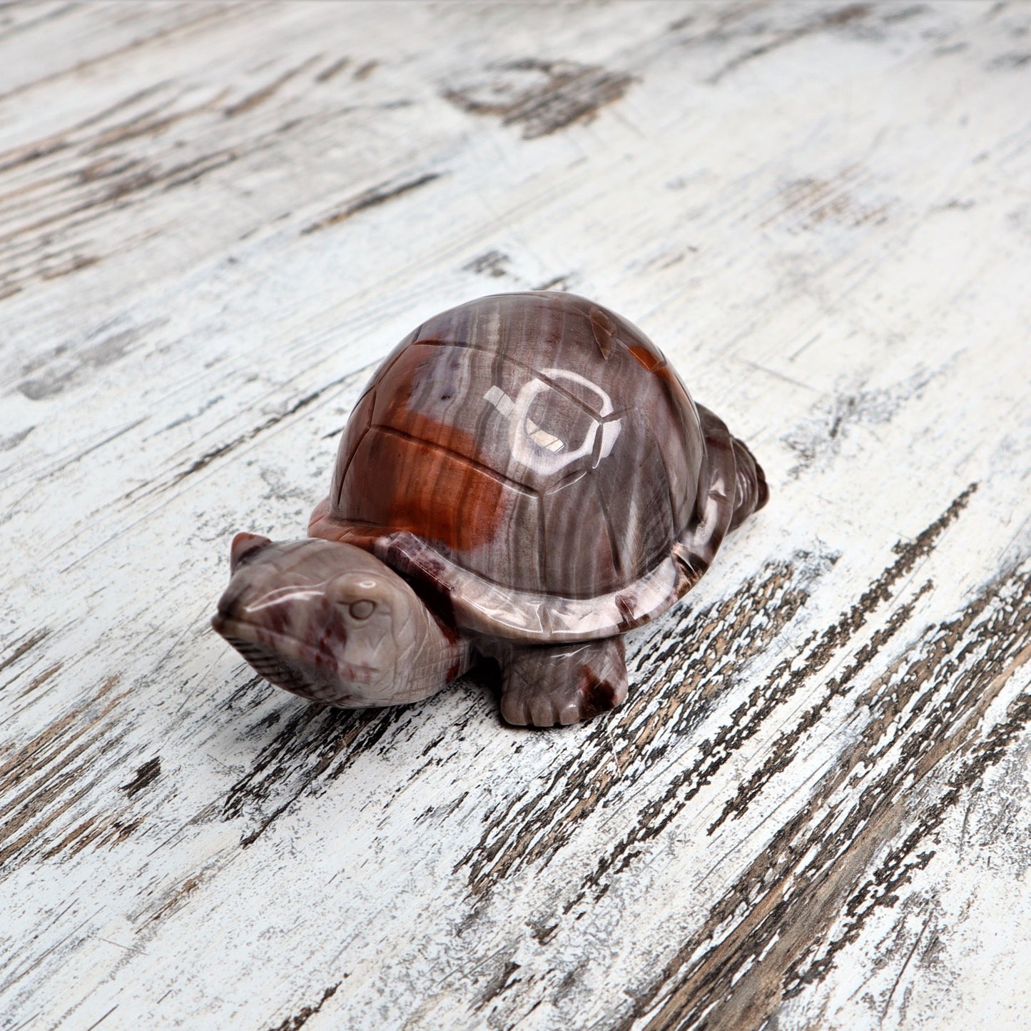 Petrified Wood Turtle (535g)