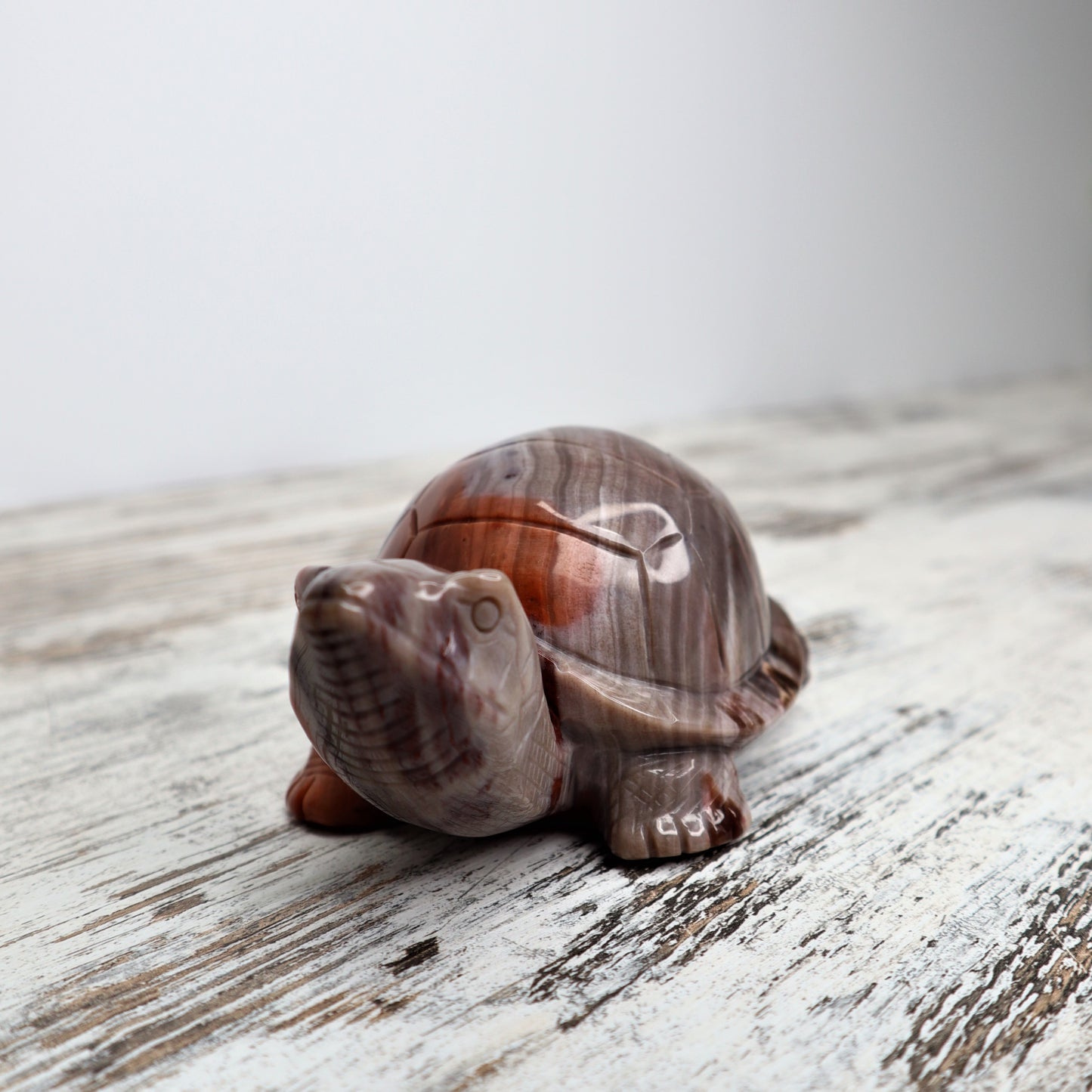 Petrified Wood Turtle (535g)