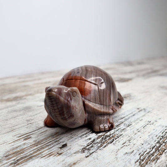 Petrified Wood Turtle (535g)