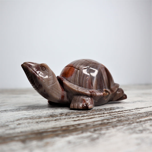 Petrified Wood Turtle (535g)