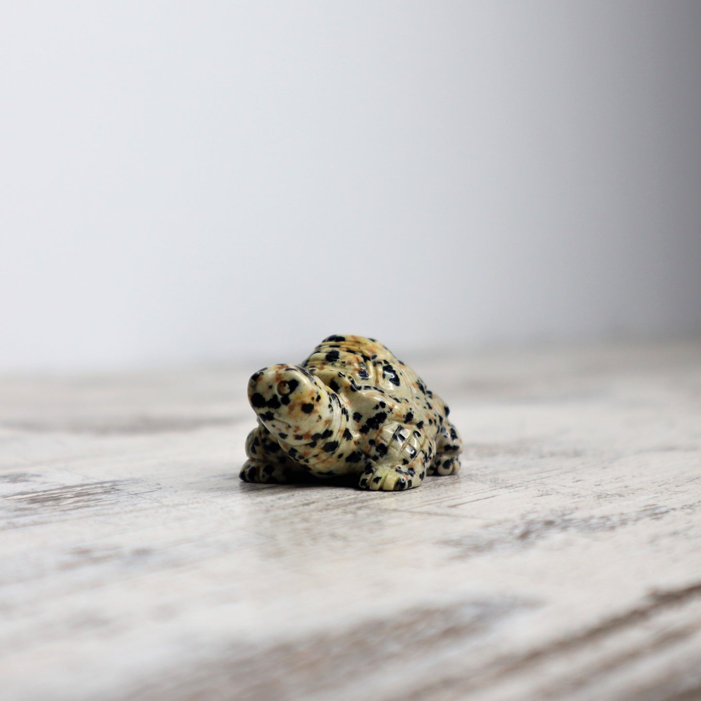 Dalmatian Jasper Tortoise Carving