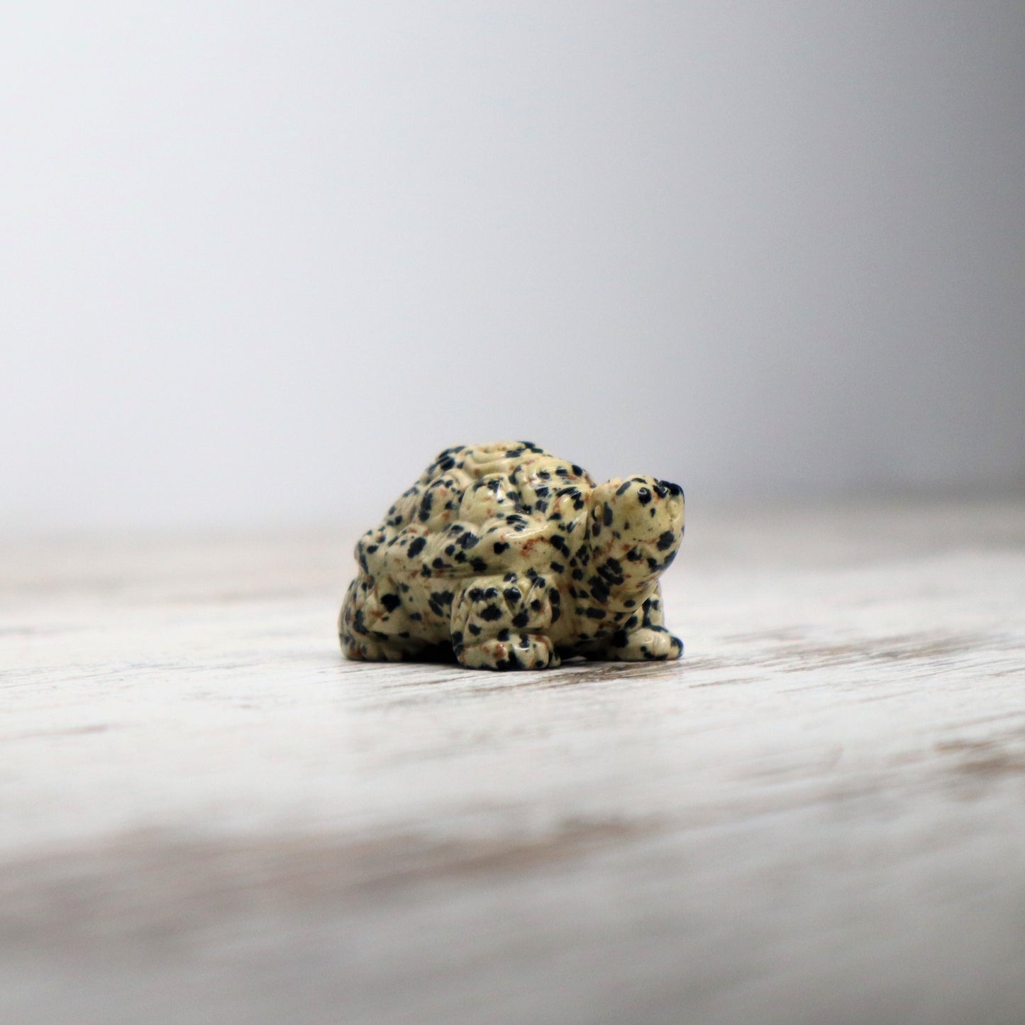 Dalmatian Jasper Tortoise Carving