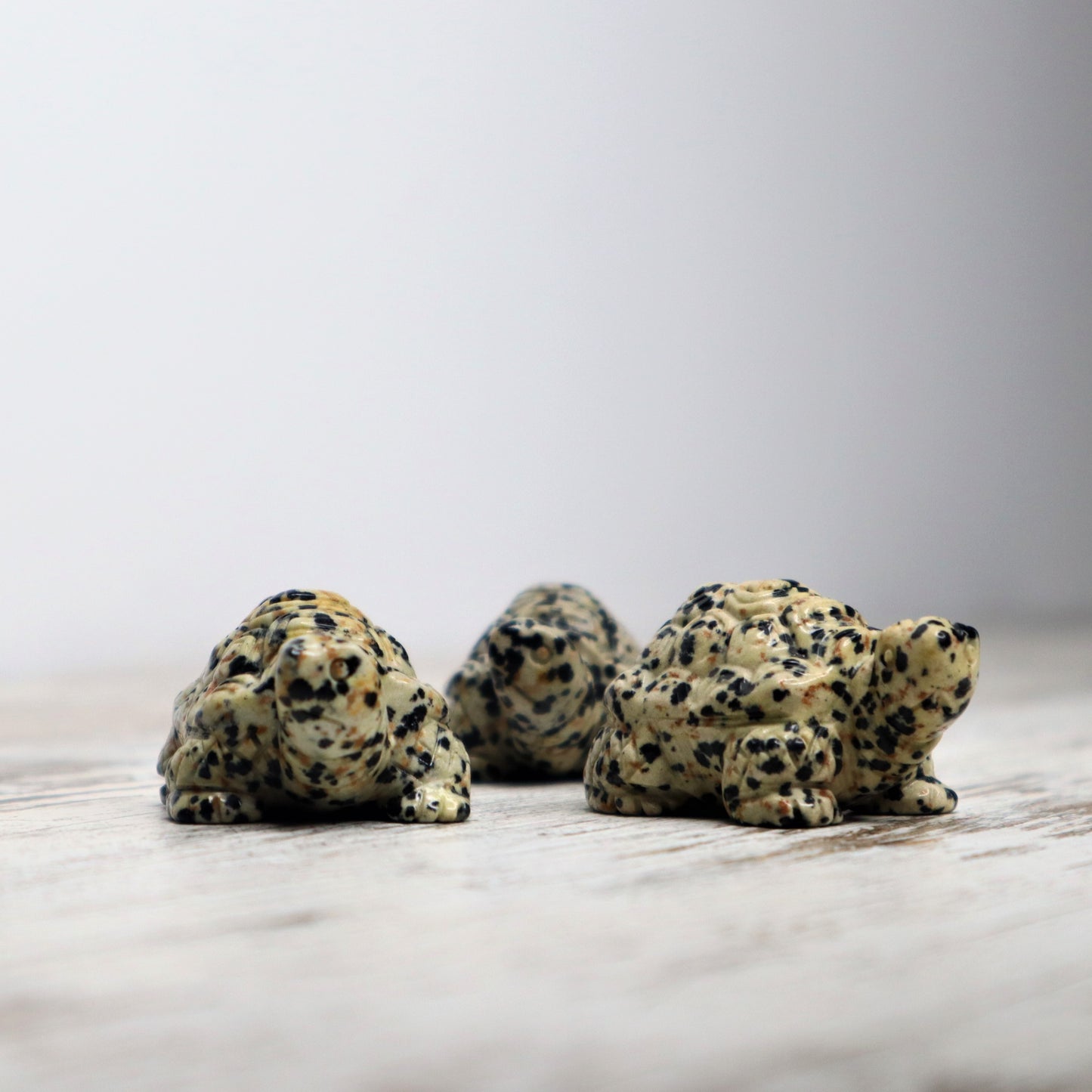 Dalmatian Jasper Tortoise Carving