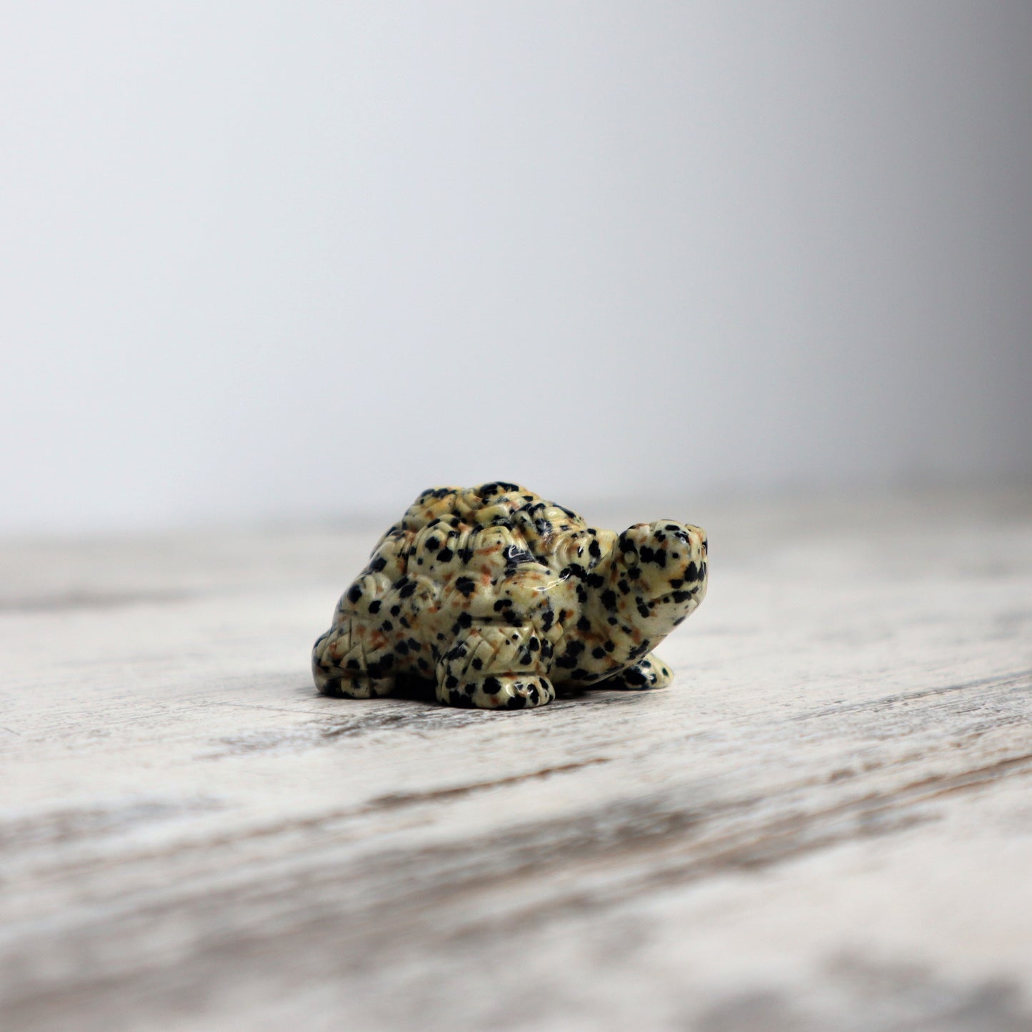 Dalmatian Jasper Tortoise Carving