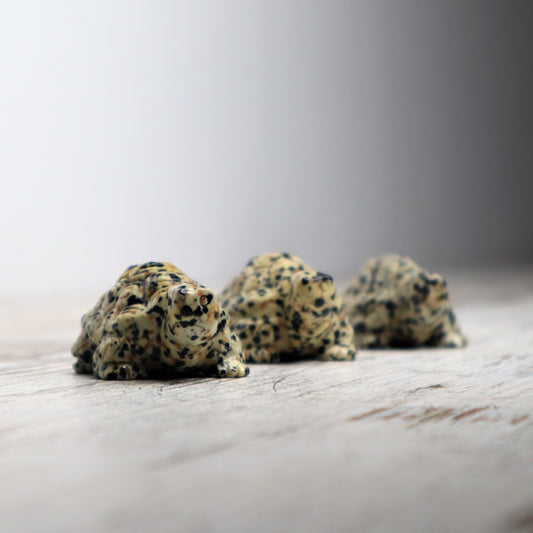 Dalmatian Jasper Tortoise Carving