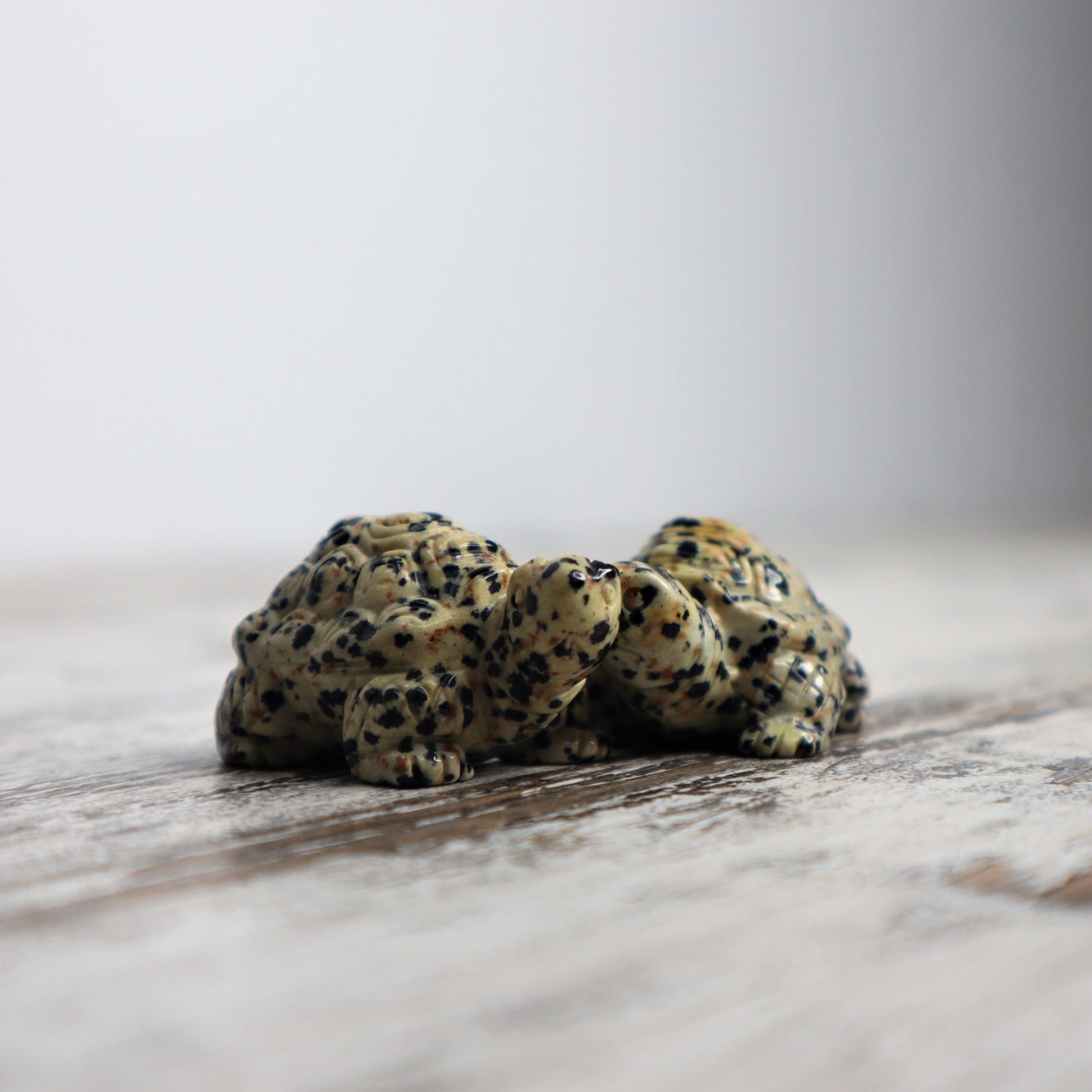 Dalmatian Jasper Tortoise Carving
