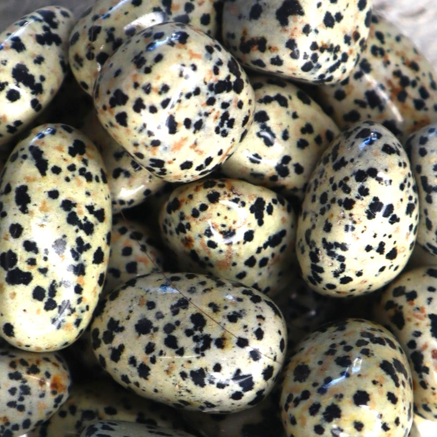 Dalmatian Jasper Tumble Stone