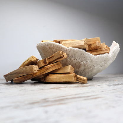 Palo Santo + Orchid Calcite Cleansing Bundle