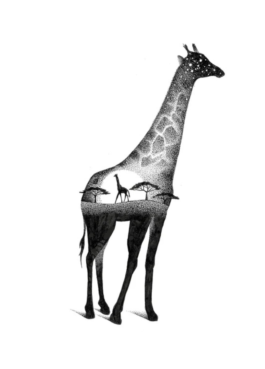 An A-Z of Animal Symbolism | Spirit Animals, Signs &amp; Meanings