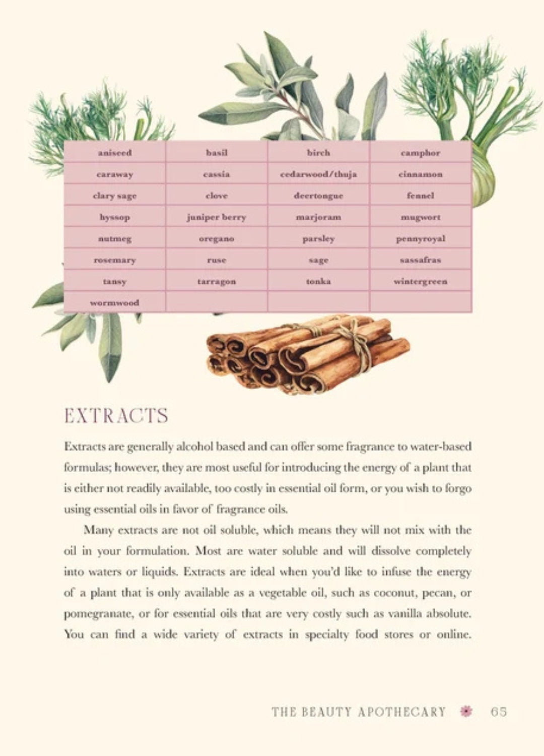 The Beauty Apothecary | Self-Love, Rituals &amp; Holistic Beauty