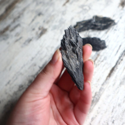 Black Kyanite Mini Cluster | Protection, Grounding & Energy Alignment