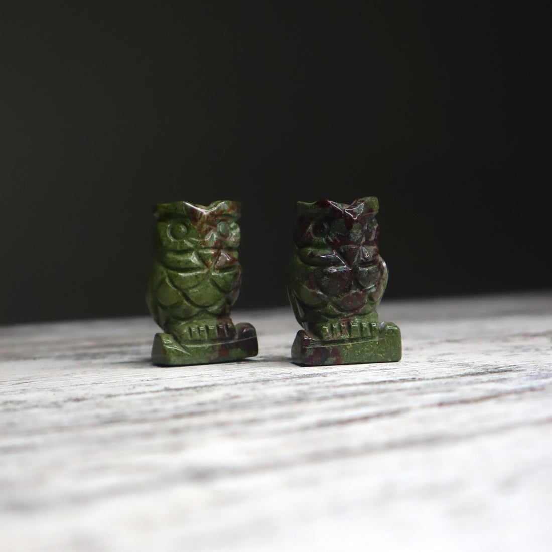 Bloodstone Owl | Strength, Courage &amp; Grounded Protection