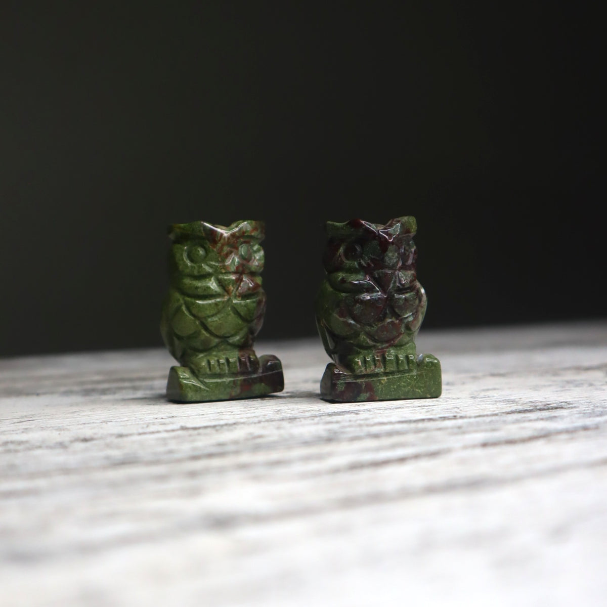 Bloodstone Owl | Strength, Courage &amp; Grounded Protection