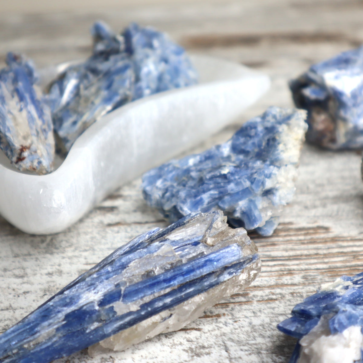 Blue Kyanite Mini Cluster | Alignment, Clarity &amp; Calm Communication