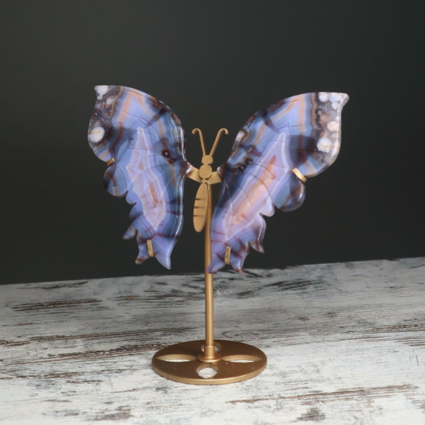 Blue Banded Agate Butterfly Wings on Stand | Calm, Balance & Gentle Growth