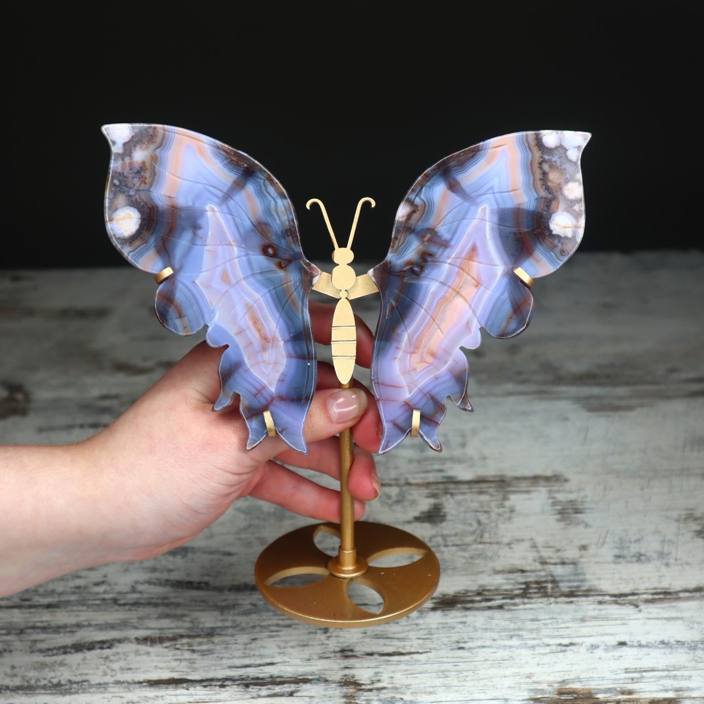 Blue Banded Agate Butterfly Wings on Stand | Calm, Balance & Gentle Growth