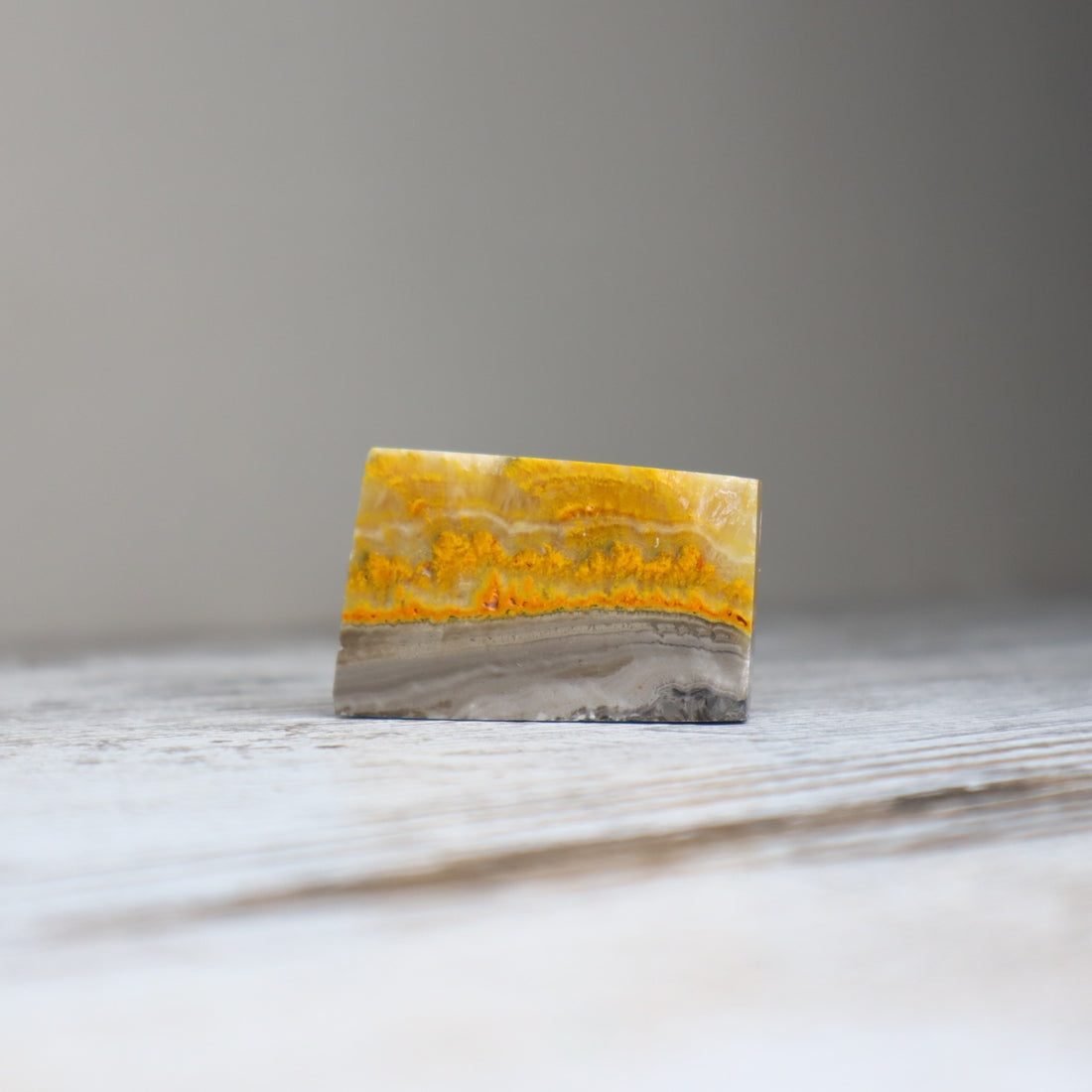 Bumble Bee Jasper Mini Freeform | Confidence, Creativity &amp; New Beginnings