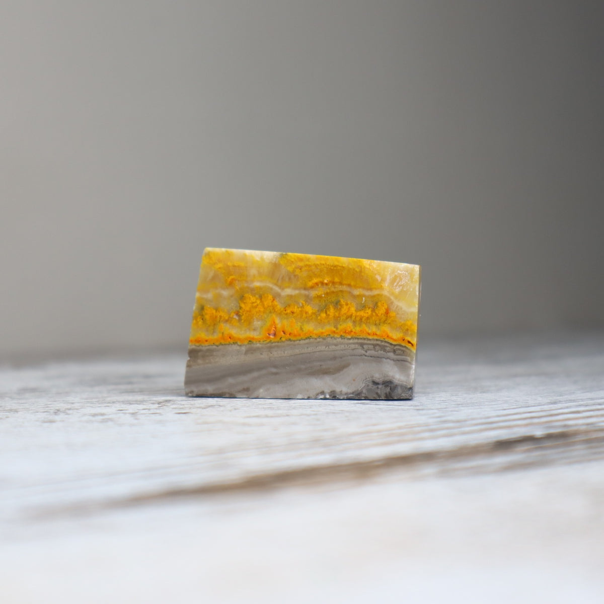 Bumble Bee Jasper Mini Freeform | Confidence, Creativity &amp; New Beginnings