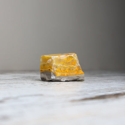 Bumble Bee Jasper Mini Freeform | Confidence, Creativity &amp; New Beginnings