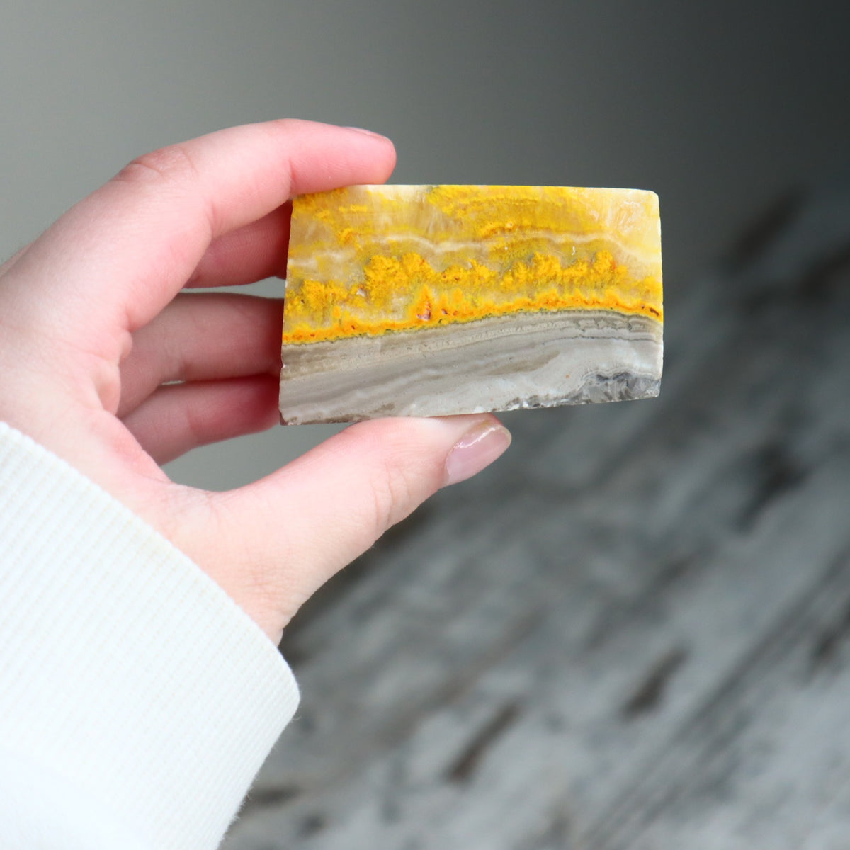 Bumble Bee Jasper Mini Freeform | Confidence, Creativity &amp; New Beginnings