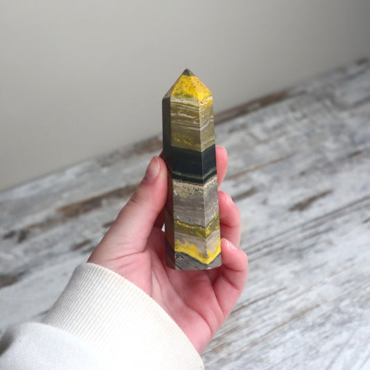Bumblebee Jasper Point | Courage, Personal Power & Inspired Growth
