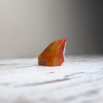 Carnelian Mini Freeform | Motivation, Confidence & Creative Energy