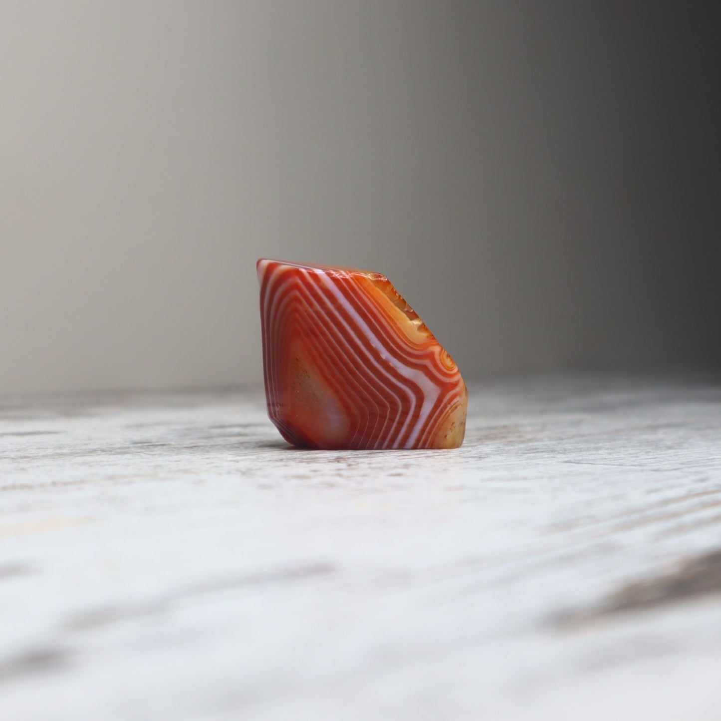 Carnelian Mini Freeform | Motivation, Confidence & Creative Energy