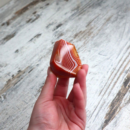Carnelian Mini Freeform | Motivation, Confidence & Creative Energy