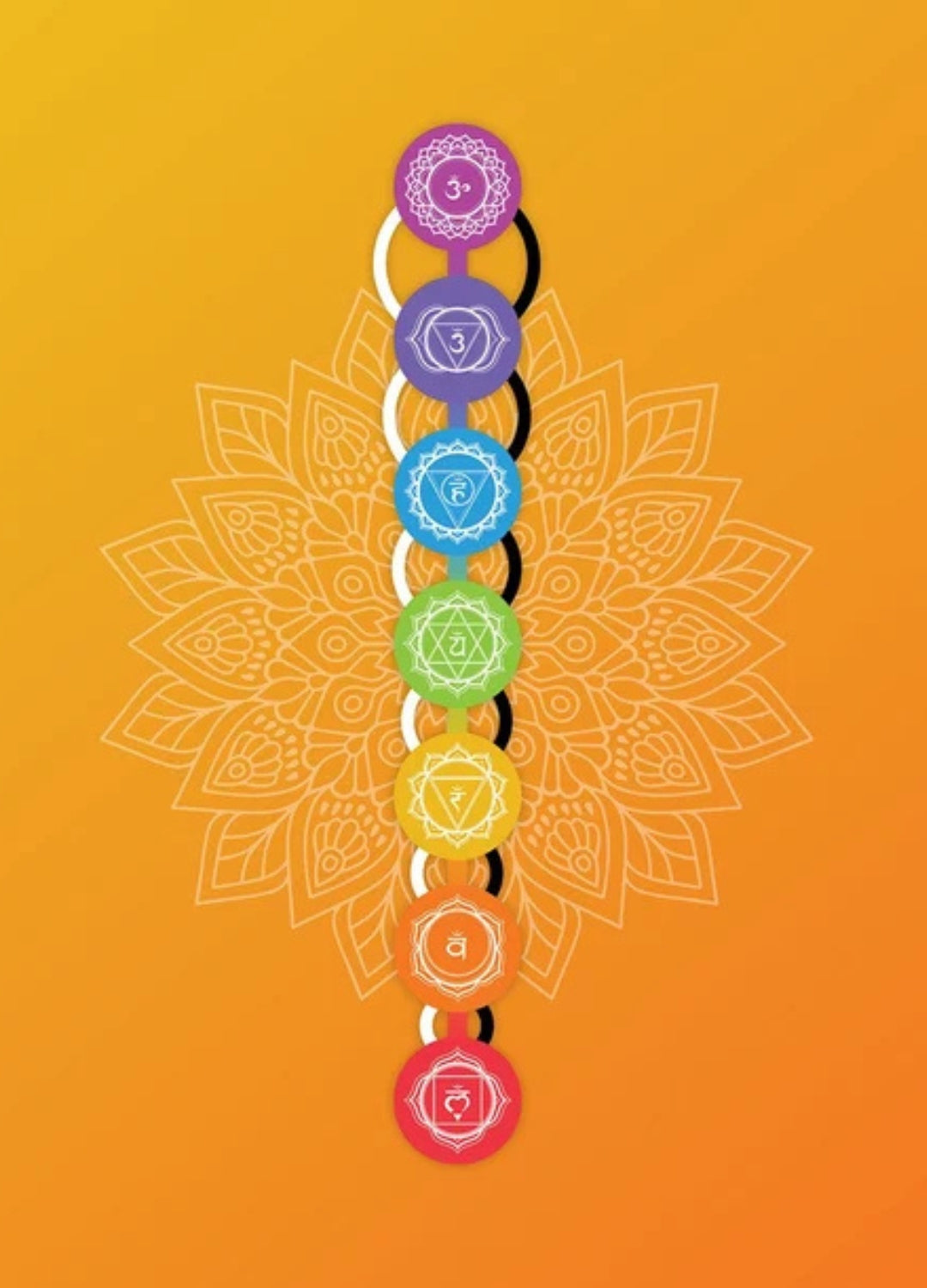 Chakras | Energy Centres, Meditation &amp; Chakra Wisdom