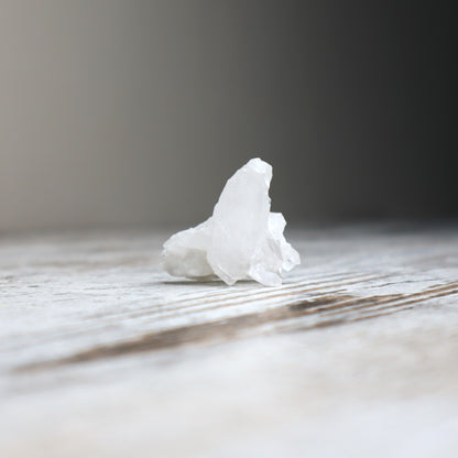 Clear Quartz Mini Cluster | Clarity, Amplification & Alignment