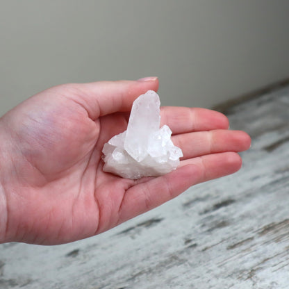 Clear Quartz Mini Cluster | Clarity, Amplification & Alignment